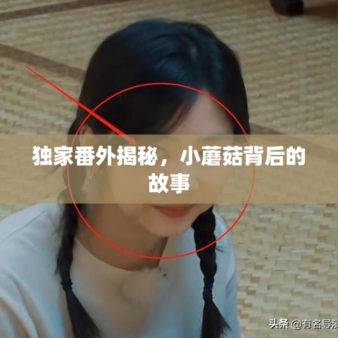 独家番外揭秘,小蘑菇背后的故事