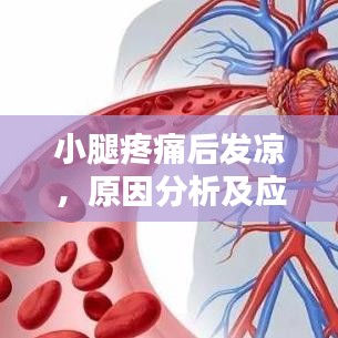 小腿疼痛后发凉,原因分析及应对方法