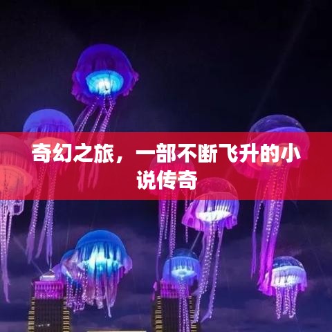 奇幻之旅,一部不断飞升的小说传奇