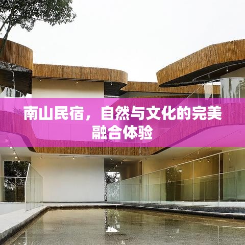南山民宿,自然与文化的完美融合体验