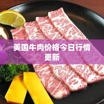 美国牛肉价格今日行情更新