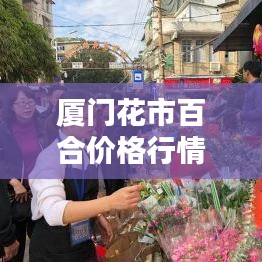 厦门花市百合价格行情实时更新，最新报道