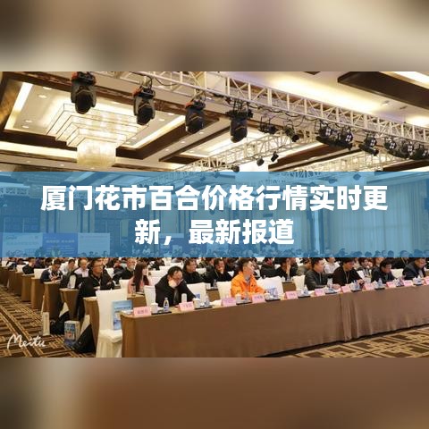 厦门花市百合价格行情实时更新,最新报道