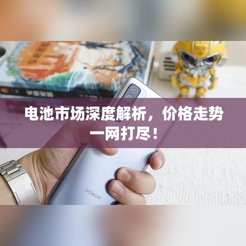 电池市场深度解析,价格走势一网打尽!