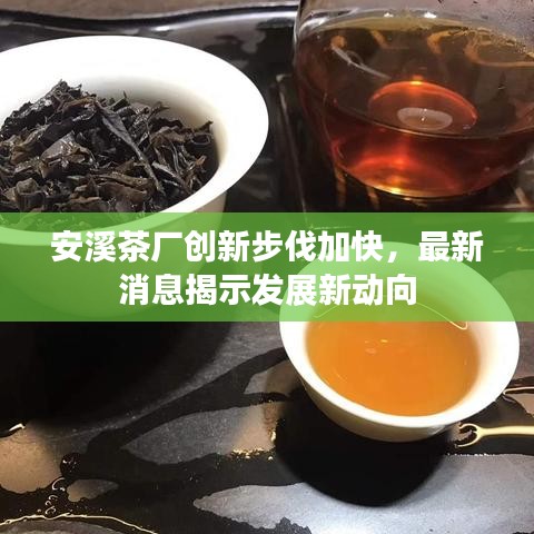 安溪茶厂创新步伐加快,最新消息揭示发展新动向