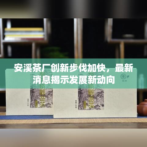 安溪茶厂创新步伐加快,最新消息揭示发展新动向
