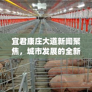 宜君康庄大道新闻聚焦,城市发展的全新篇章