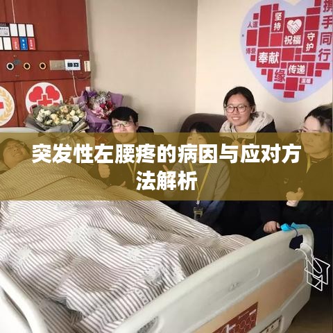 突发性左腰疼的病因与应对方法解析