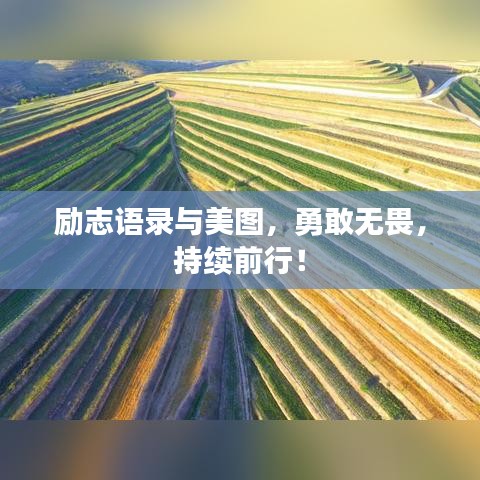 励志语录与美图,勇敢无畏,持续前行!
