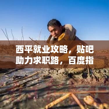 西平就业攻略,贴吧助力求职路,百度指引方向