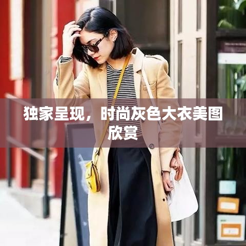 独家呈现,时尚灰色大衣美图欣赏