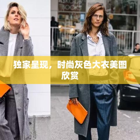 独家呈现,时尚灰色大衣美图欣赏