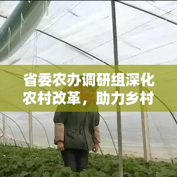 省委农办调研组深化农村改革，助力乡村振兴新篇章开启