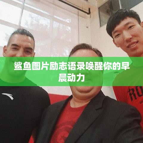 鲨鱼图片励志语录唤醒你的早晨动力