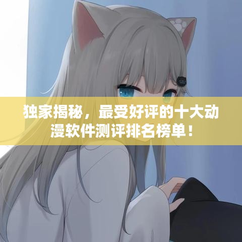 独家揭秘,最受好评的十大动漫软件测评排名榜单!
