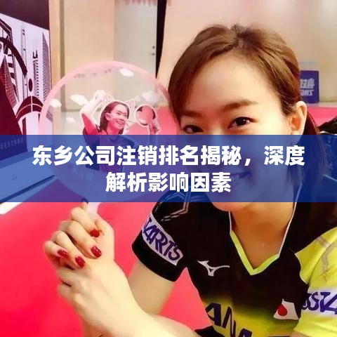 东乡公司注销排名揭秘，深度解析影响因素
