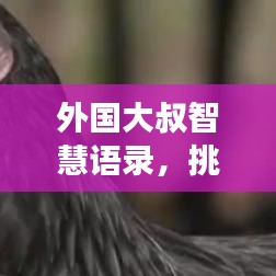 外国大叔智慧语录，挑战与成功的励志箴言