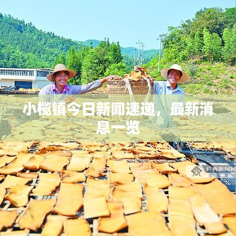 小榄镇今日新闻速递,最新消息一览
