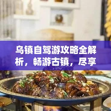 乌镇自驾游攻略全解析,畅游古镇,尽享自驾之旅!