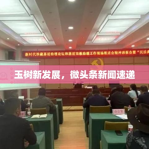 玉树新发展，微头条新闻速递