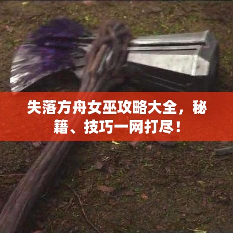 失落方舟女巫攻略大全,秘籍、技巧一网打尽!