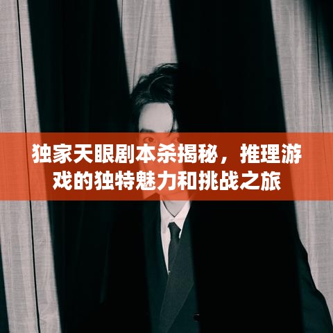 独家天眼剧本杀揭秘,推理游戏的独特魅力和挑战之旅