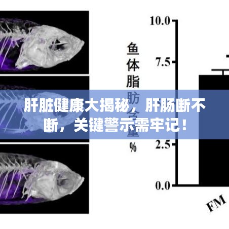 肝脏健康大揭秘,肝肠断不断,关键警示需牢记!