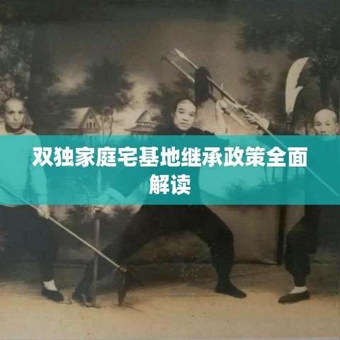 双独家庭宅基地继承政策全面解读