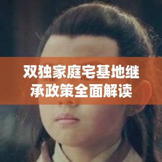 双独家庭宅基地继承政策全面解读