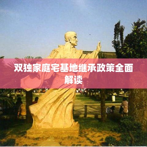 双独家庭宅基地继承政策全面解读