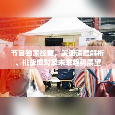 节目独家经营,策略深度解析、挑战应对及未来趋势展望