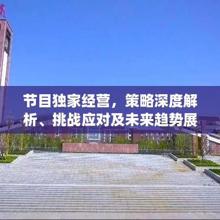 节目独家经营,策略深度解析、挑战应对及未来趋势展望