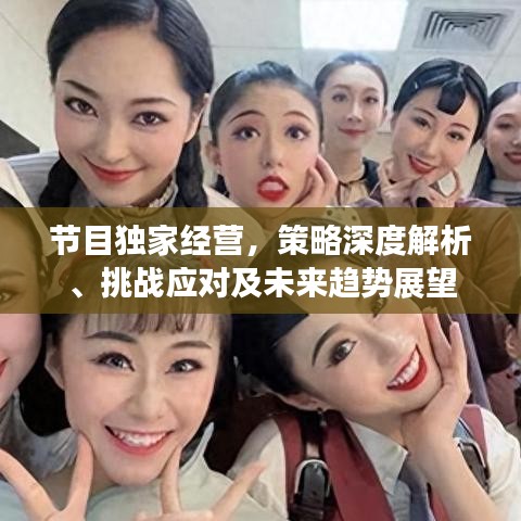 节目独家经营,策略深度解析、挑战应对及未来趋势展望