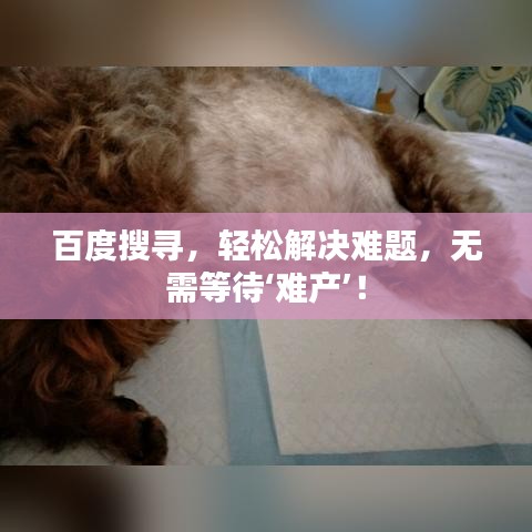 百度搜寻,轻松解决难题,无需等待‘难产’!