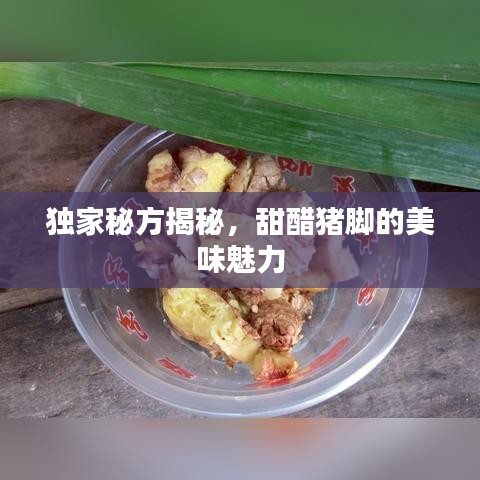 独家秘方揭秘,甜醋猪脚的美味魅力