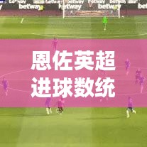 恩佐英超进球数统计与最新动态揭秘