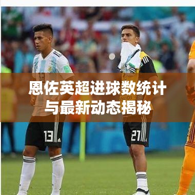 恩佐英超进球数统计与最新动态揭秘