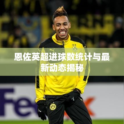 恩佐英超进球数统计与最新动态揭秘