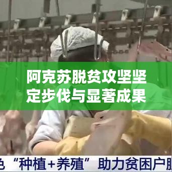 阿克苏脱贫攻坚坚定步伐与显著成果纪实