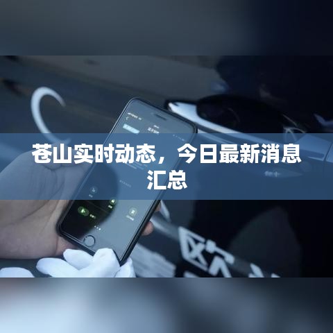 苍山实时动态，今日最新消息汇总