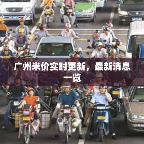 广州米价实时更新,最新消息一览
