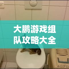 大鹏游戏组队攻略大全,最新指南助你轻松组队!