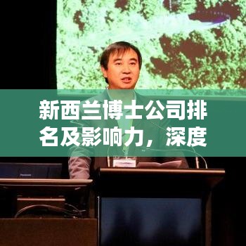 新西兰博士公司排名及影响力,深度解析教育领域的佼佼者