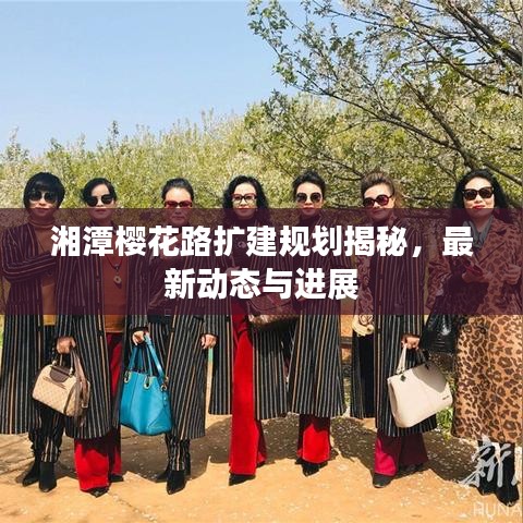 湘潭樱花路扩建规划揭秘，最新动态与进展