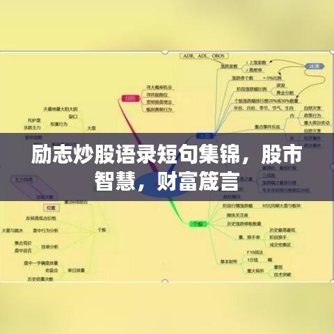 还淳反朴 第6页