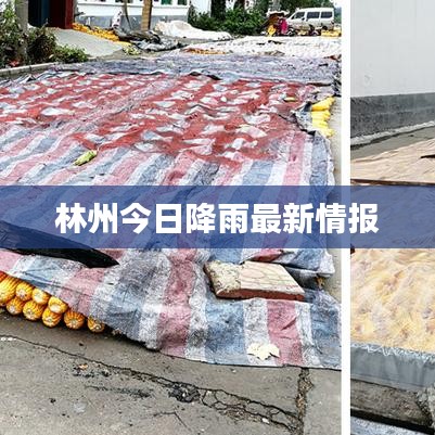 林州今日降雨最新情报