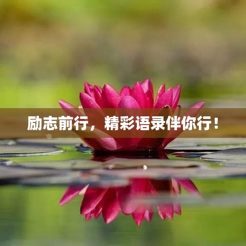 励志前行,精彩语录伴你行!