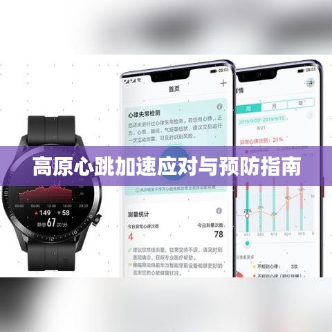 高原心跳加速应对与预防指南
