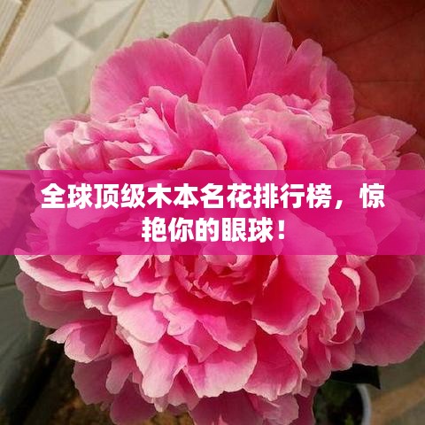 全球顶级木本名花排行榜,惊艳你的眼球!