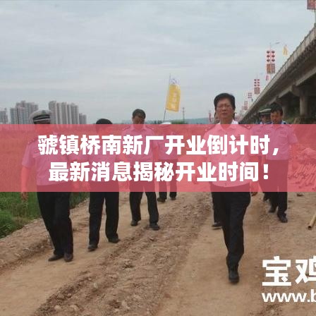 虢镇桥南新厂开业倒计时，最新消息揭秘开业时间！